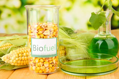 Llanrug biofuel availability
